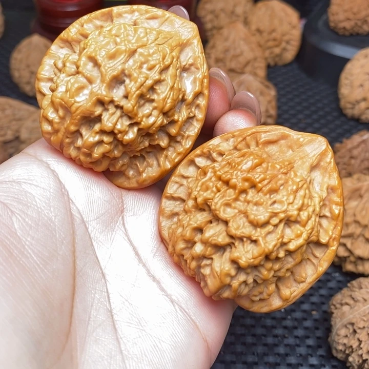 秦岭野生222222222