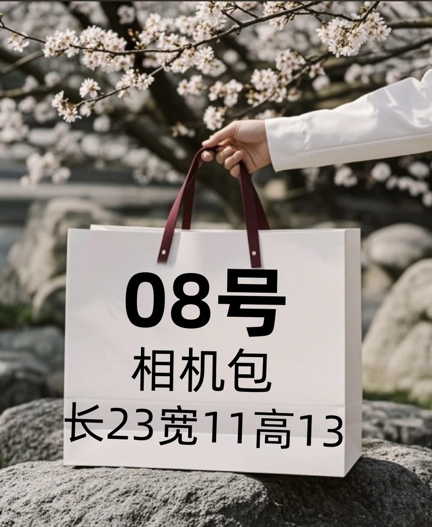 【8号】XY2025春夏新款网红相机斜挎包A2771-17