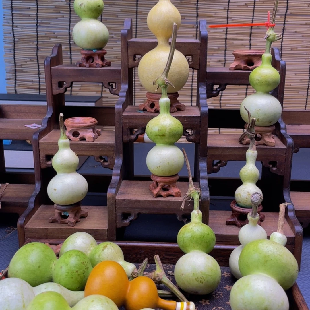老***黑我也不知道为什么这么