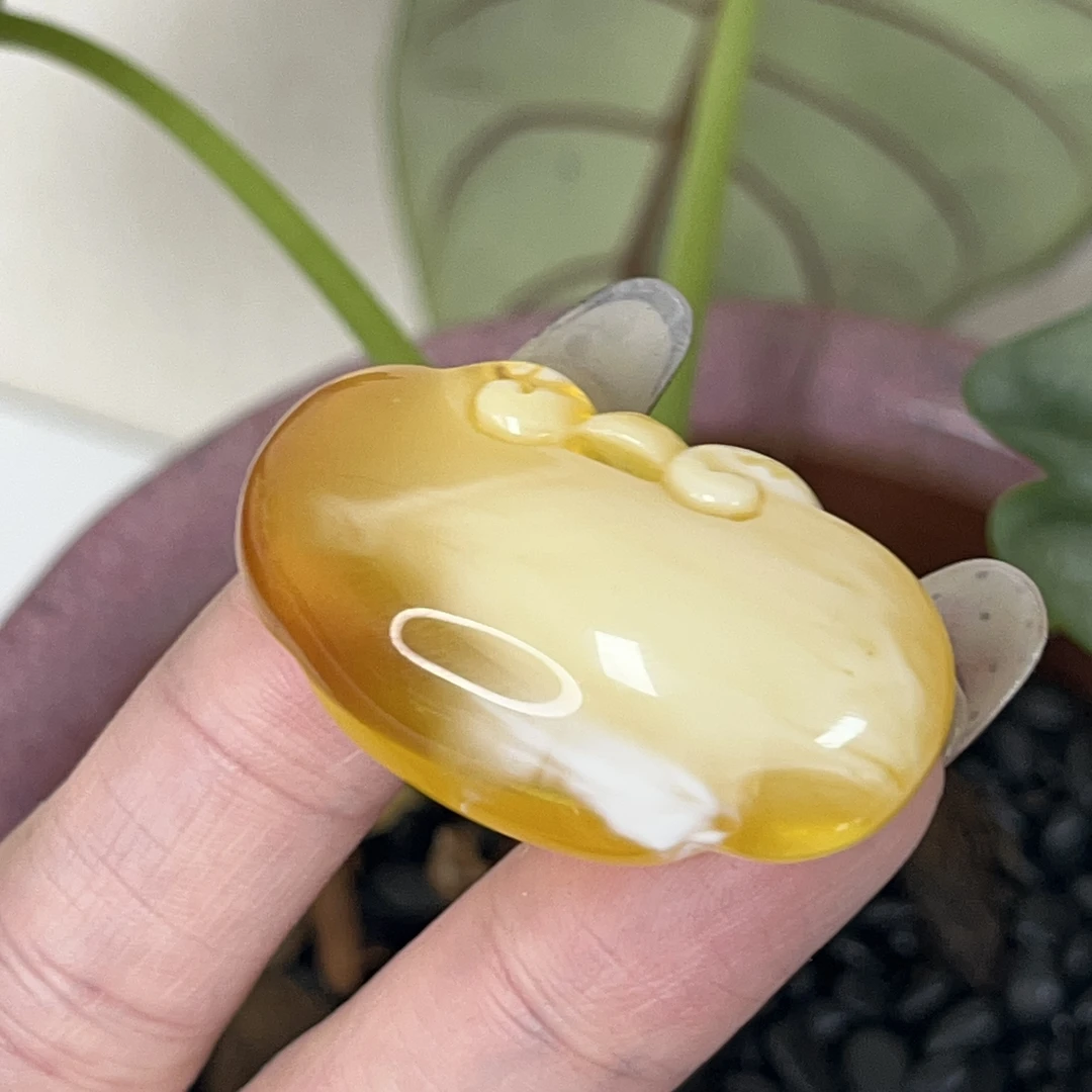 天然原矿无优化无烤色无补胶无煮蜜无辐照蜜蜡吊坠（1208）