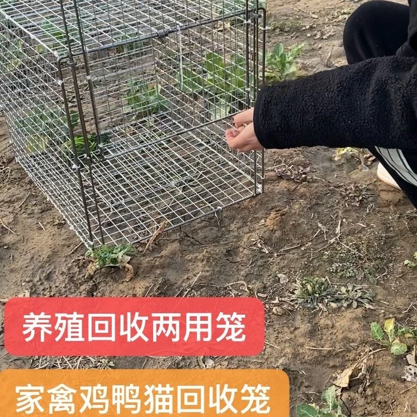 踏板笼自动滑动门鸽子笼家用机关收纳笼户外养殖新型天落笼