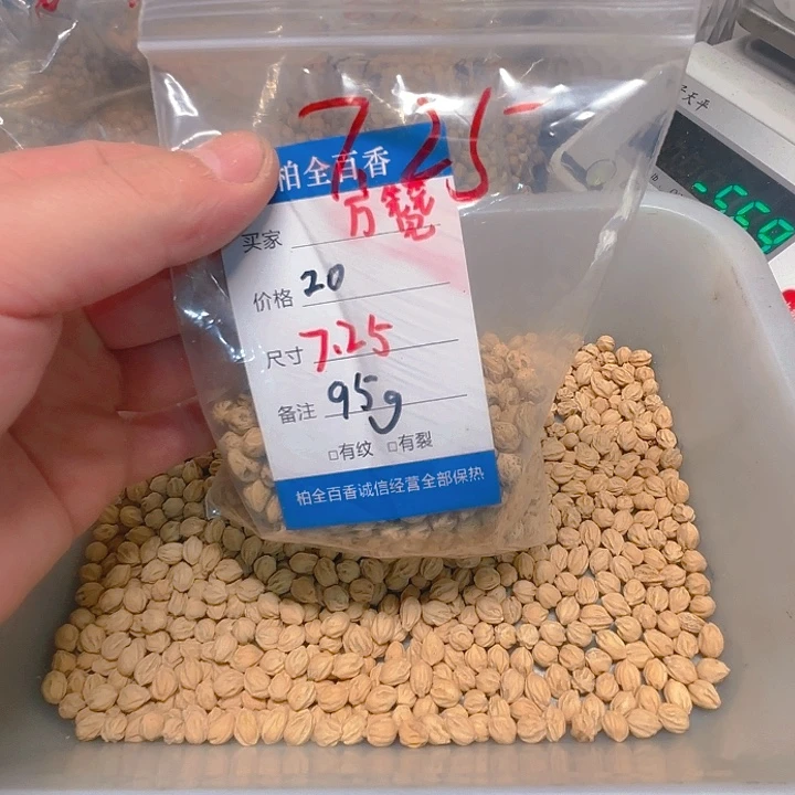 小**哦柏香籽散子 95 克散子