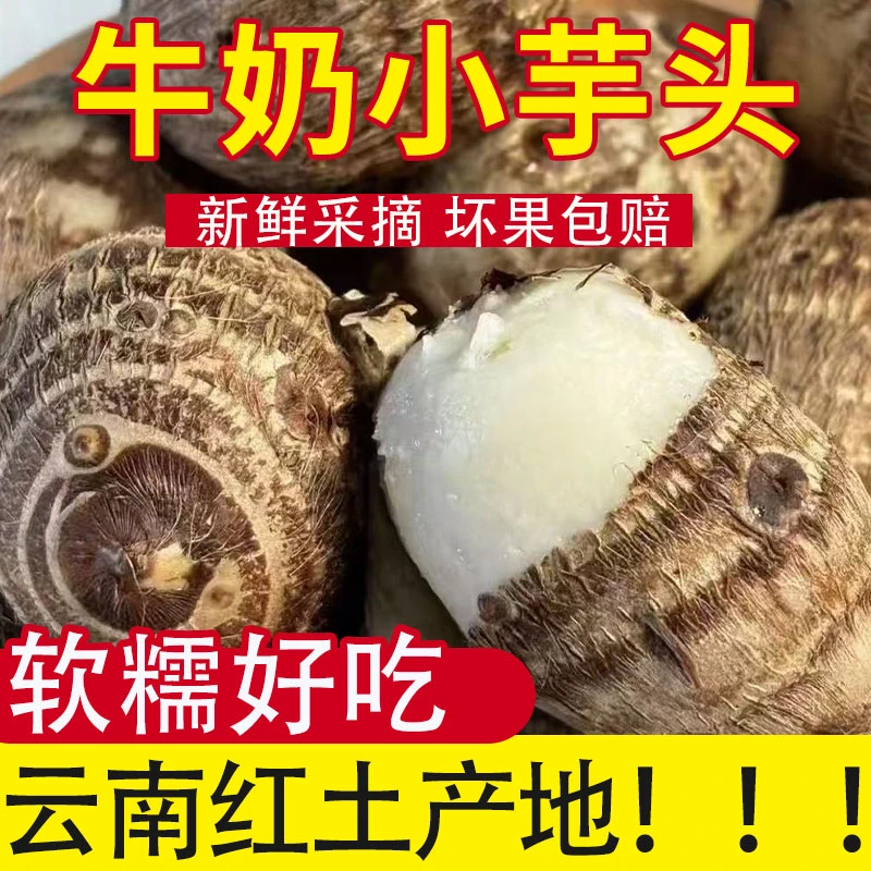 新鲜现挖云南牛奶小芋头软糯香甜农家芋艿当季蔬菜