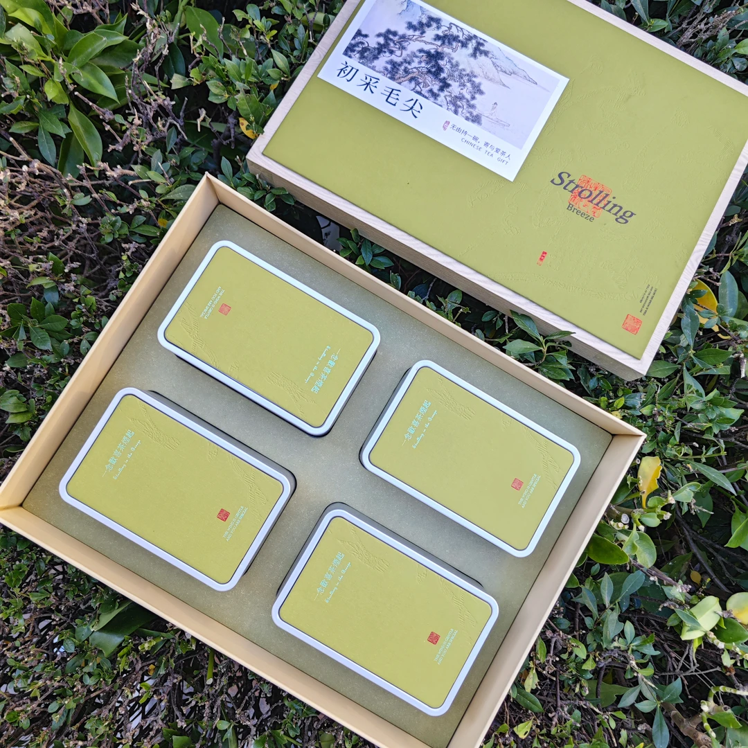 漫步清风绿色毛尖礼盒装豆花香新茶绿茶茶叶过节送长辈高档