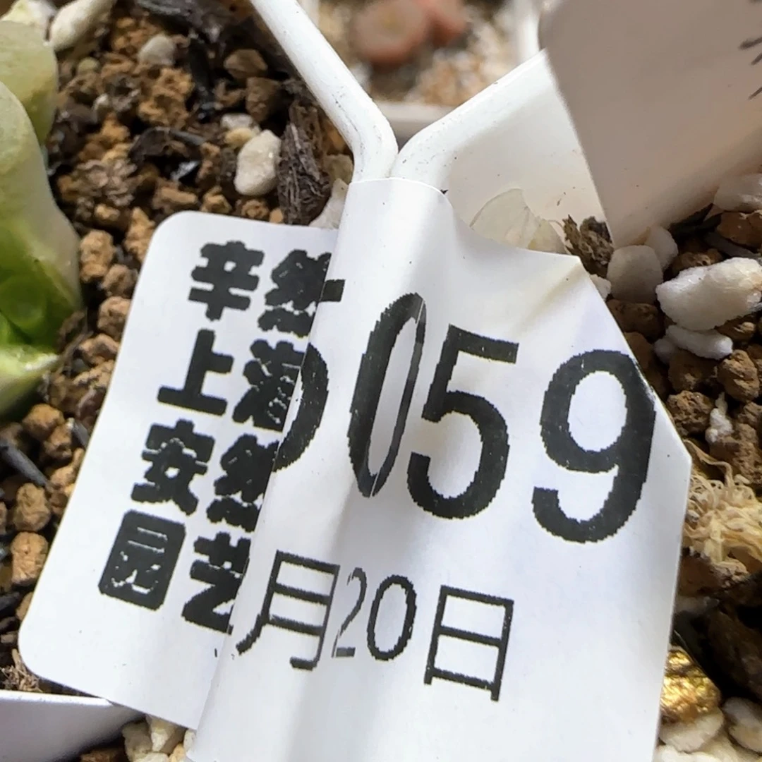 小**.2.20。骚粉*2。 5059