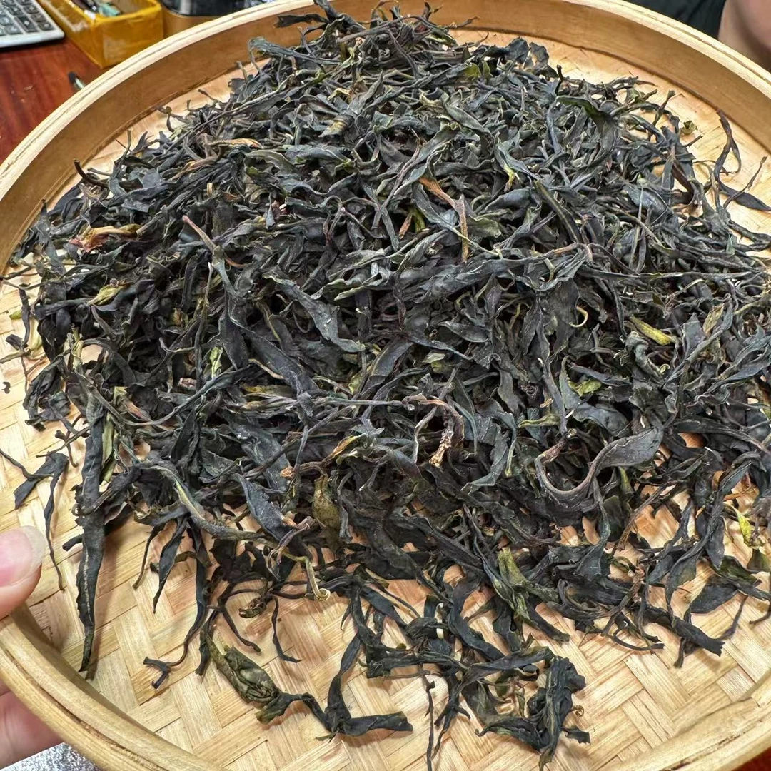 【小刚家的茶】5-24【LC71】2025年火山千年老妖 散生（普洱生茶）