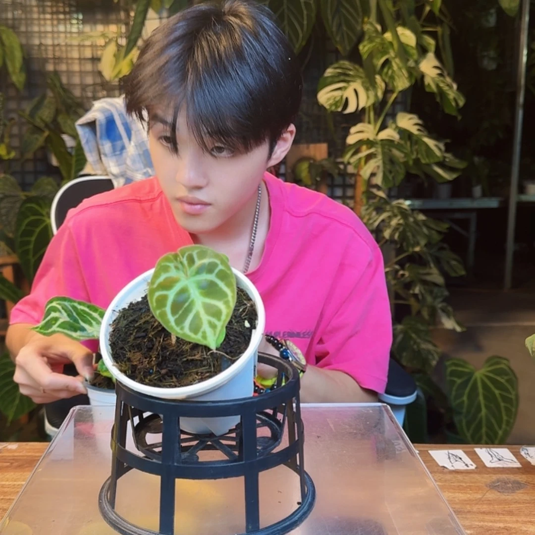 宇***g完全开放一物一拍M192