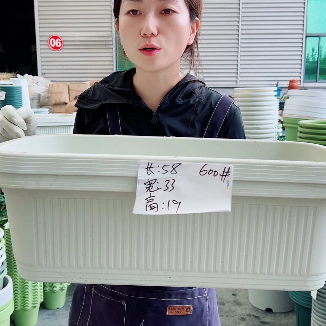 菜盆600#米白3个无托