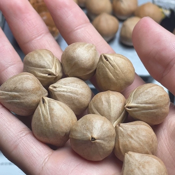 手串/手链橄榄核1.8