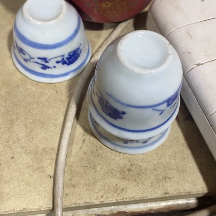 塑料大*zzzzzzzzzz