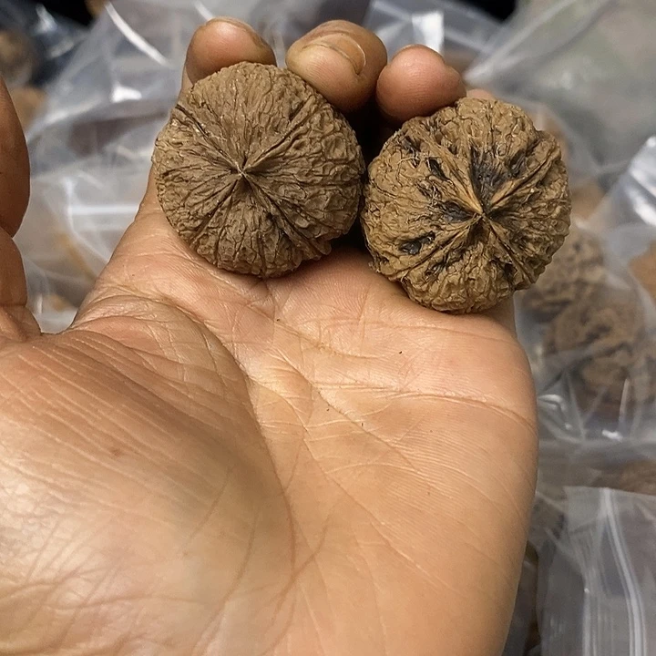 核桃云南铁核桃基地88