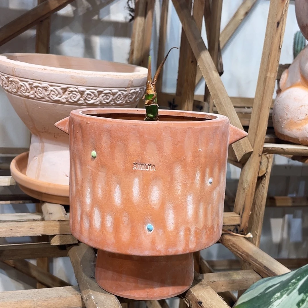 红陶14×18(1个花盆)