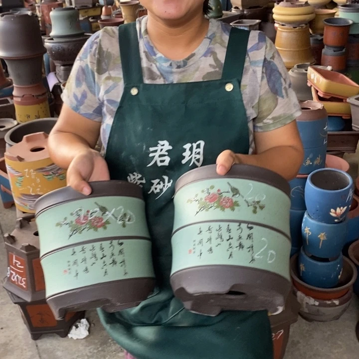 紫砂花盆盆栽花卉苗木种植