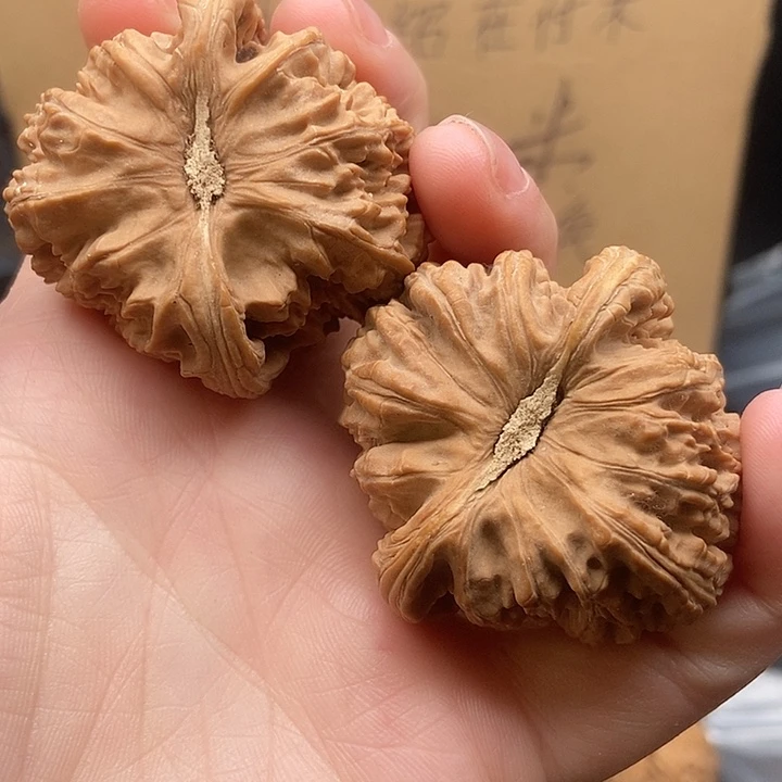 凡***清大大大大大大狮子