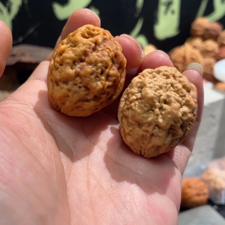 积***木文玩核桃把件编号1