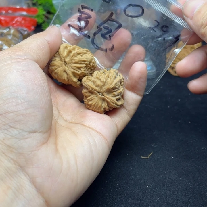 文玩核桃把件豆*白狮子