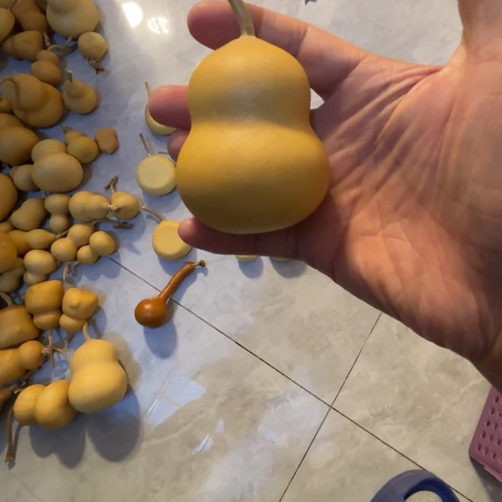 小***牛小牛的一把和尚头八宝葫芦