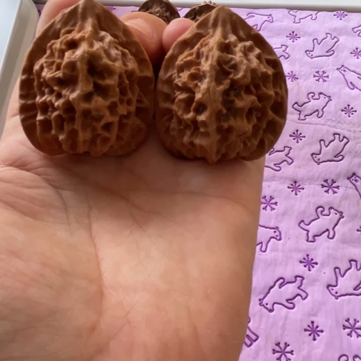 核桃手串/手链还***白秦核