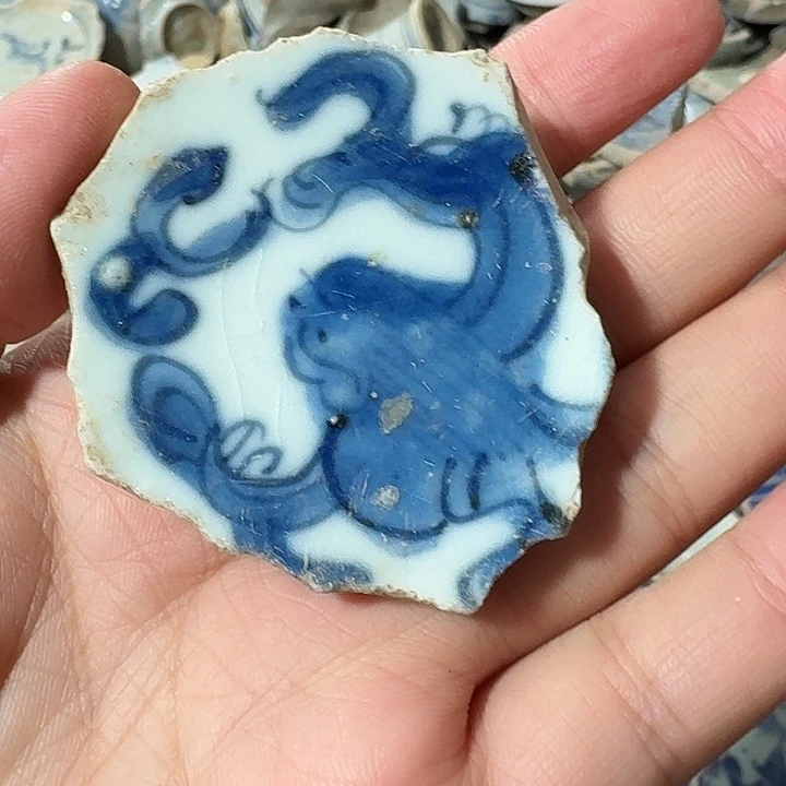 瓷片瓷片标本，顺丰包邮