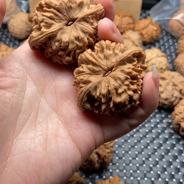 周***钓大大大大大大大官帽