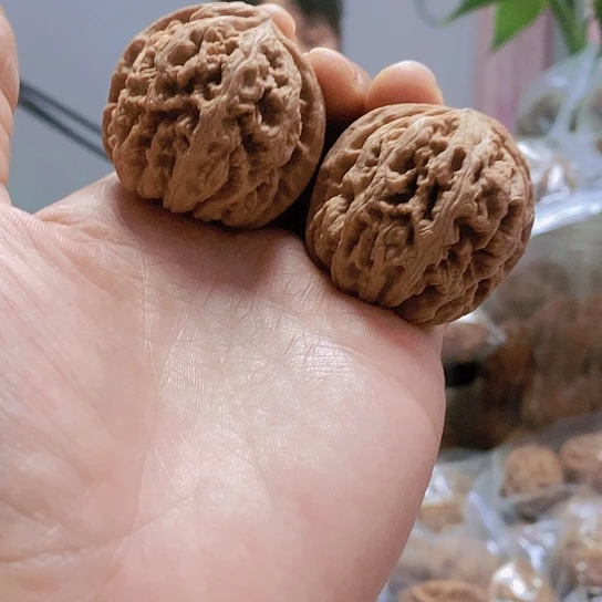 【闪购商品】把件文玩核桃40.5粗筋红皮
