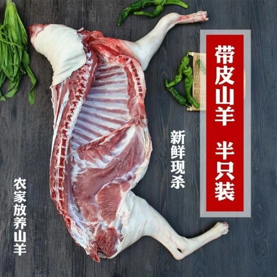 【羊排】新鲜羊排 带腩5斤装