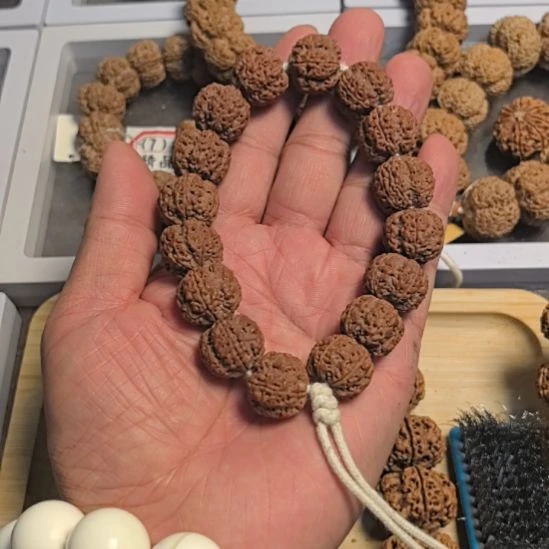 手串金刚菩提蟠龙纹大金刚手串，18左右