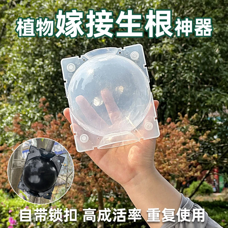 植物高压繁殖嫁接盒花卉果树控根神器扦插繁殖球生根器育苗繁殖器
