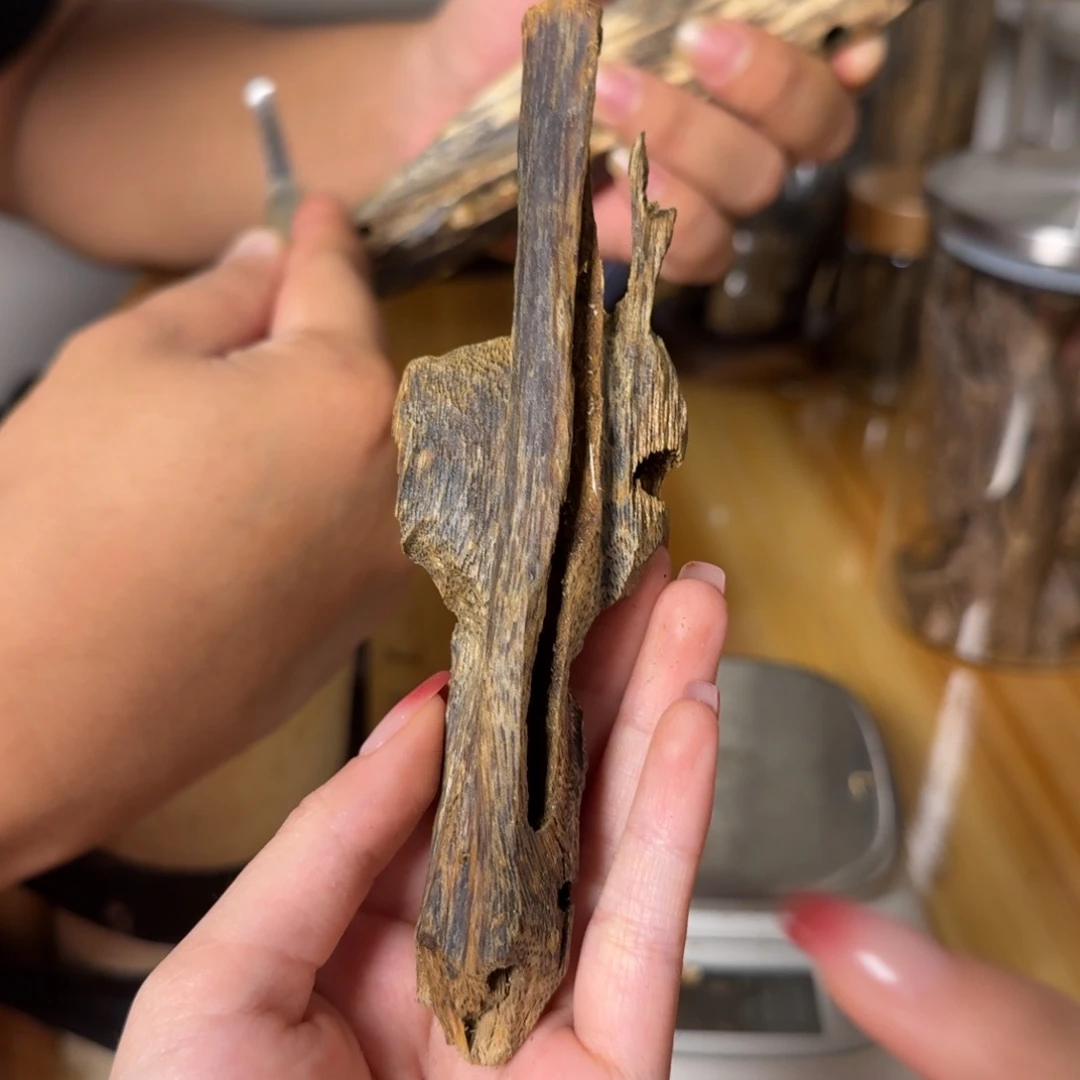 沉香乌身虫漏香21克
