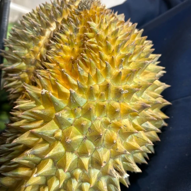 越南干尧鲜榴莲核小3000g～5000g（一物一拍）干尧越南