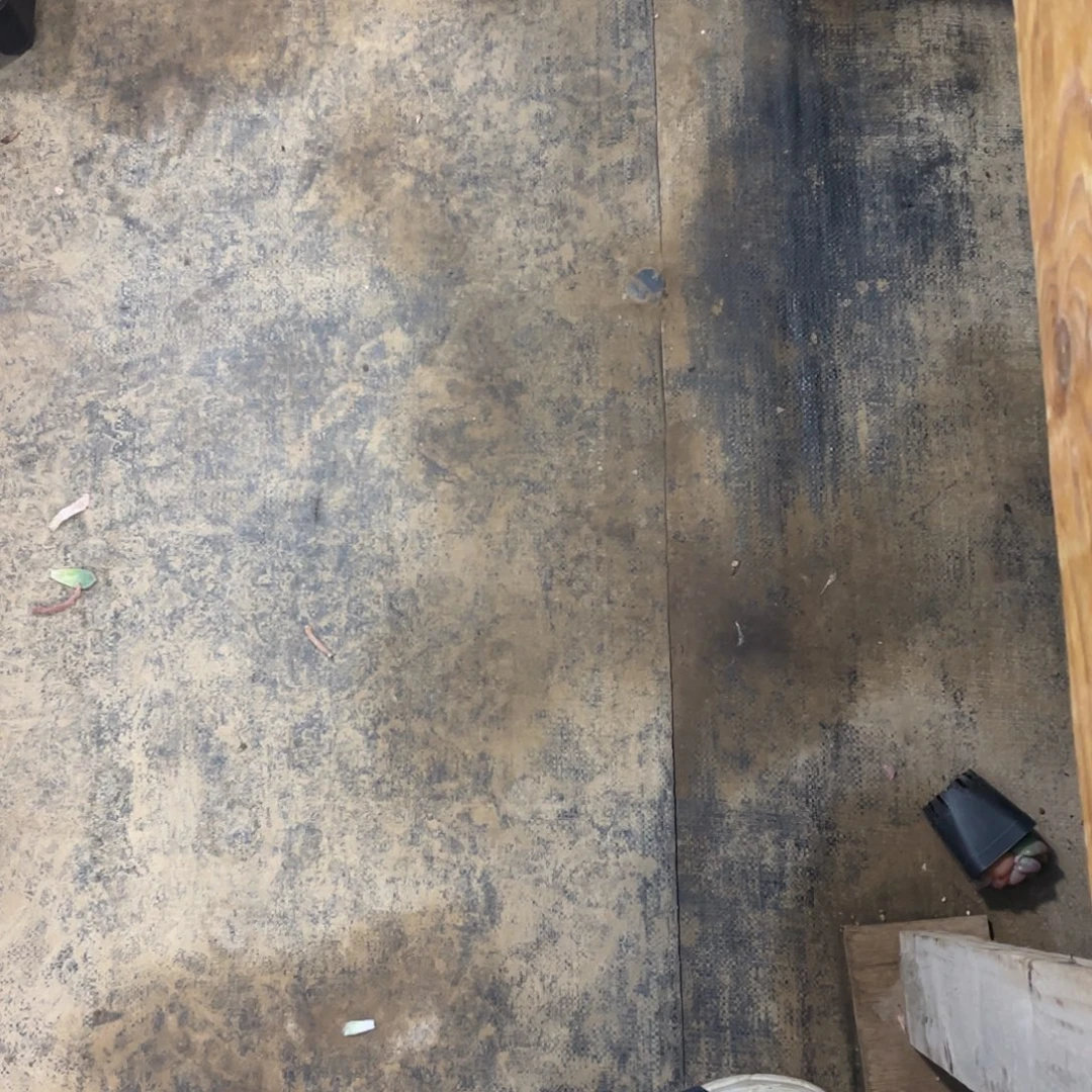 ****果橙梦露多肉植物啦啦