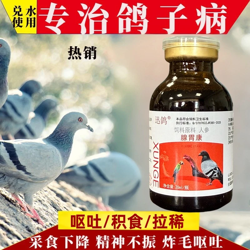 禽类鸡鸭鹅鸽采食量低呕吐腺胃炎溃疡积食不消化粪便异常羽毛松乱