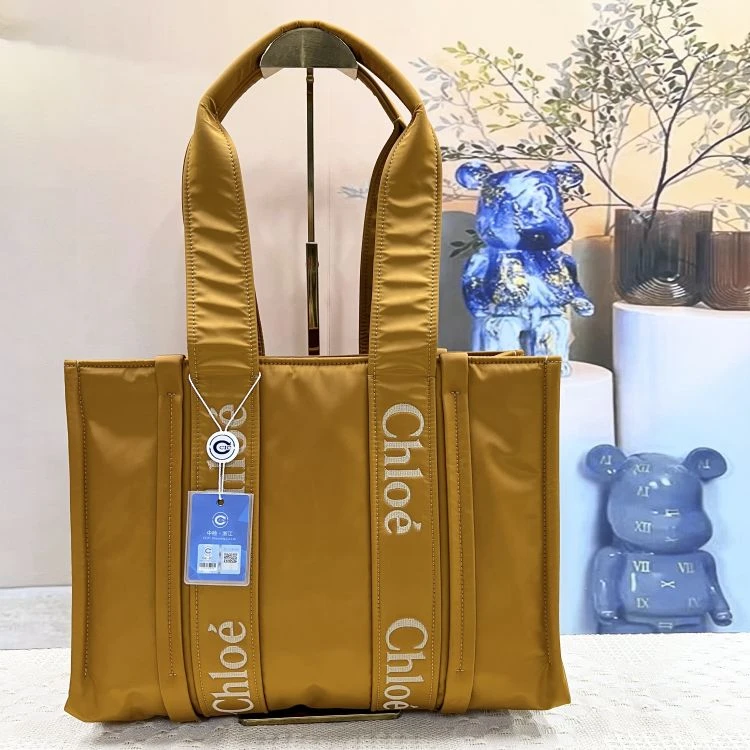 95新/蔻依/单肩包/C14034849236/[251220SWB]