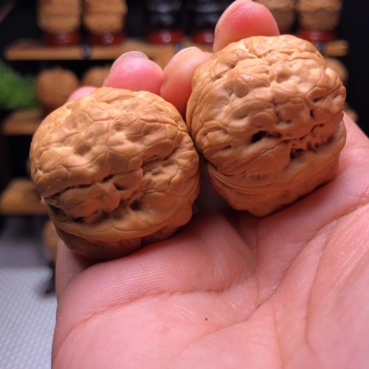 【闪购商品】包罗万象32