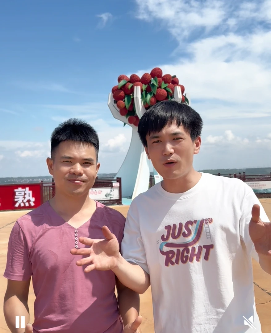 徐闻北街白糖罂荔枝