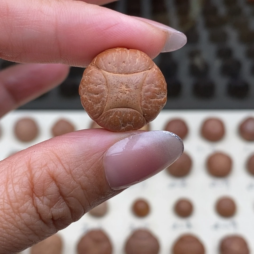 吊坠凤眼菩提麒麟