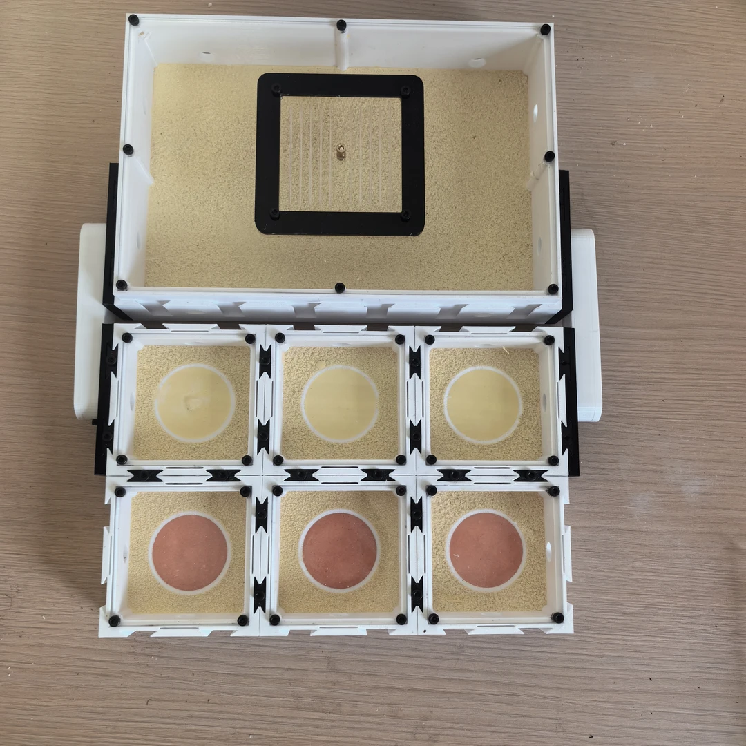 平面混凝土无限扩展折叠空气保湿介质科普桌面蚂蚁蚁巢生态