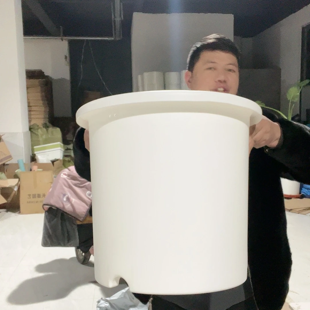 树脂爱丽思14号2个无托