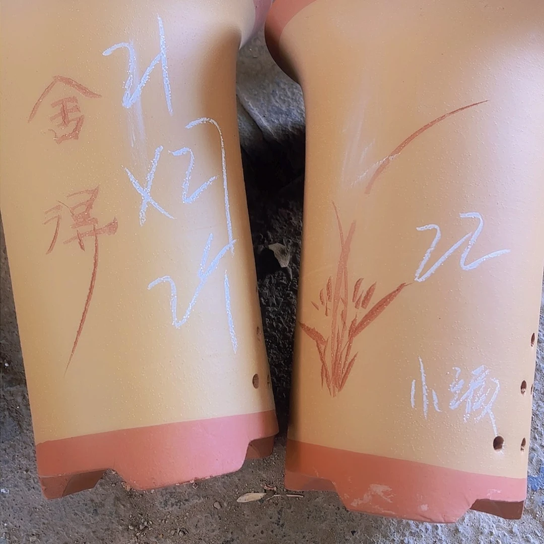 紫砂22号………………………………