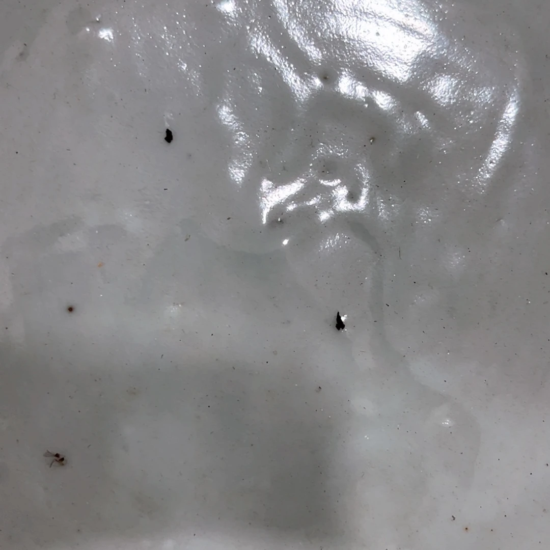 瓷片铁**山一个人的时候就会想你