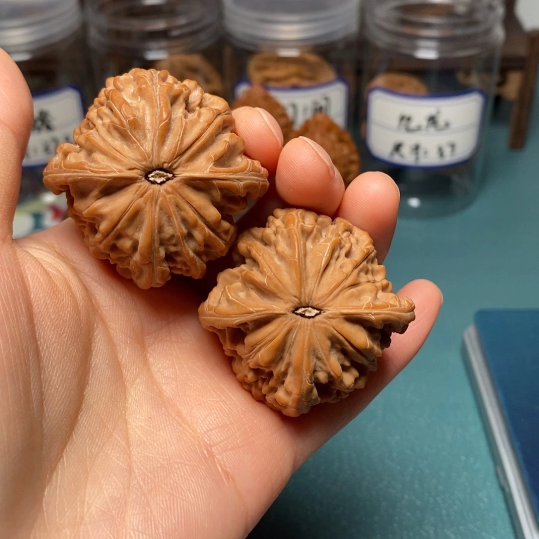 核桃43尺全品蝴蝶磨