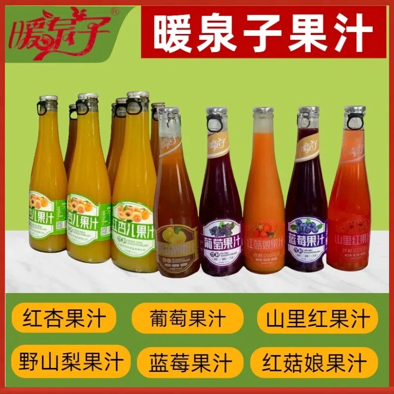 红杏、葡萄、野山梨、蓝莓、山里红、红菇娘果汁玻璃瓶东北特产饮品