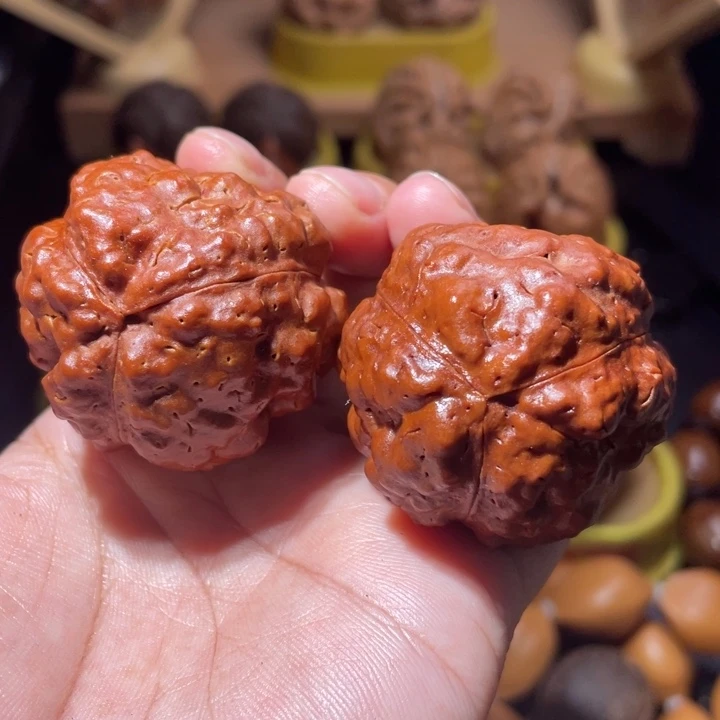 文玩核桃吊坠疙瘩龙金刚菩提子大尺41