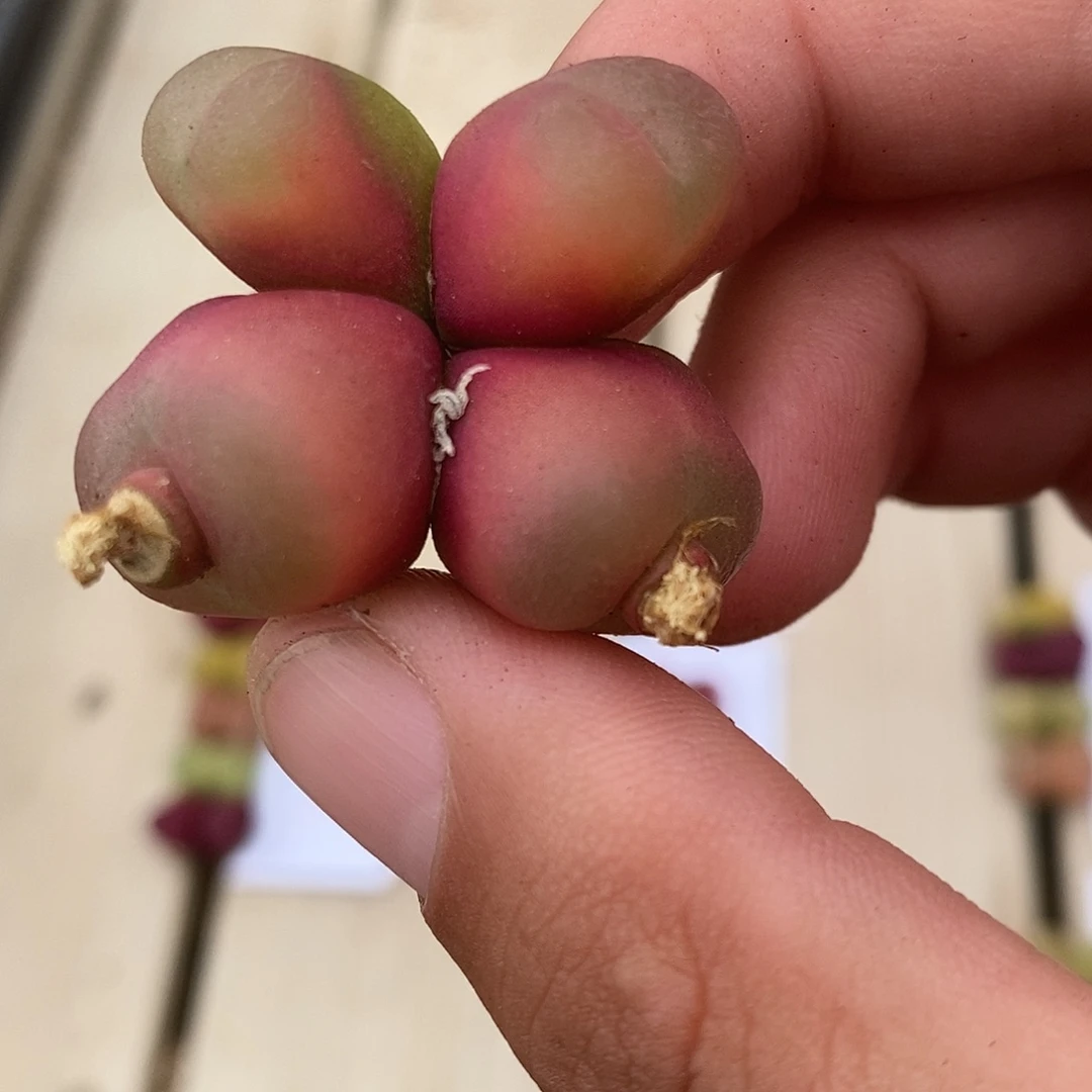 璐***️22133一群。