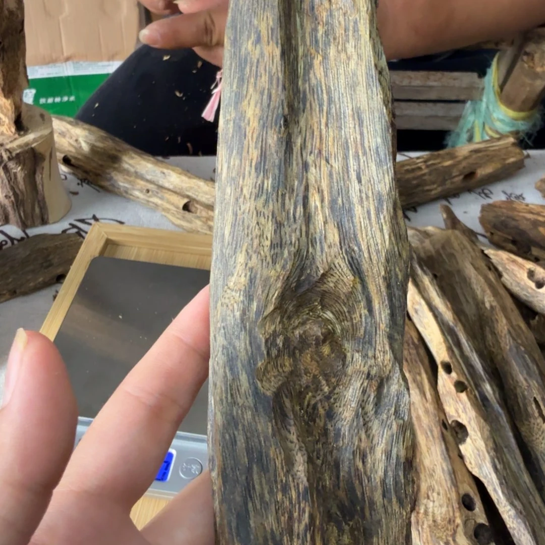 海南红骨凹身65克