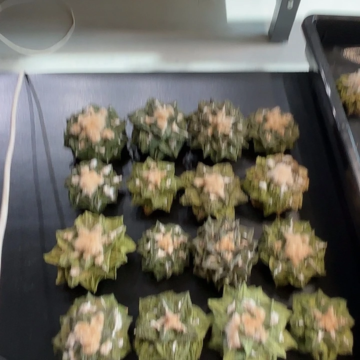 实生杂交园艺牡丹福袋