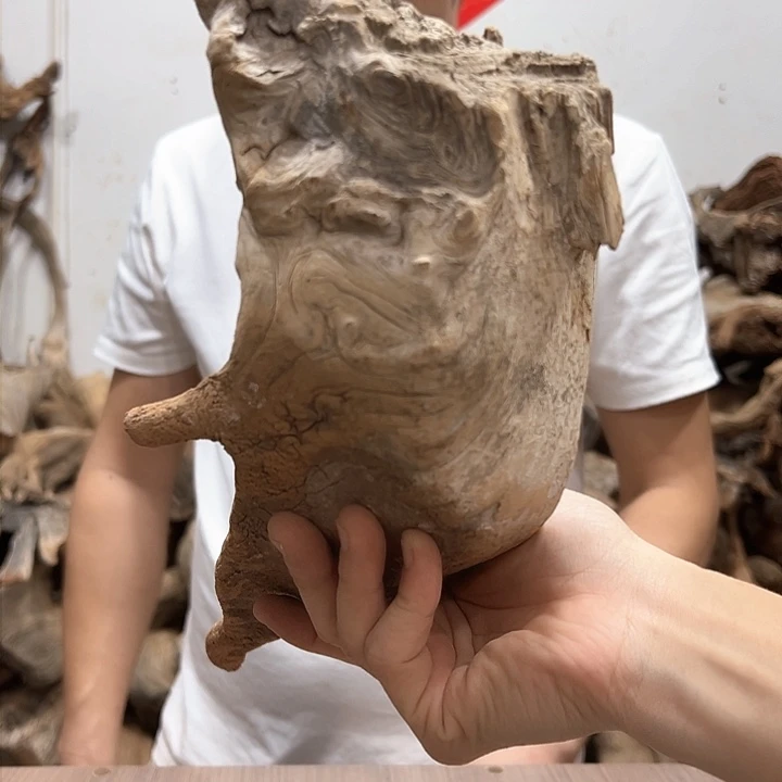 柏木鹰***界我们的生活是以自己