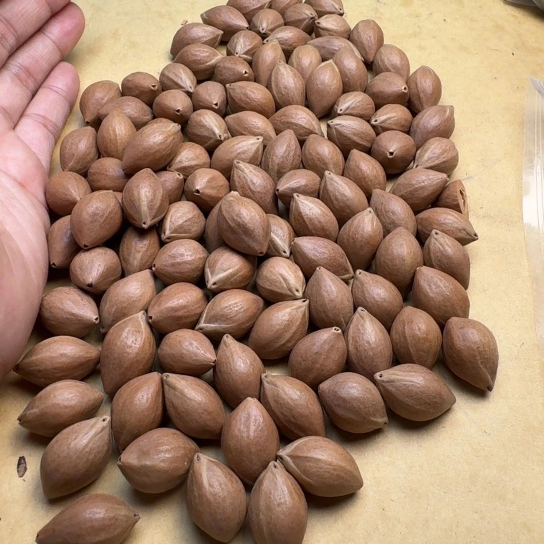 *****手串/手链橄榄核1