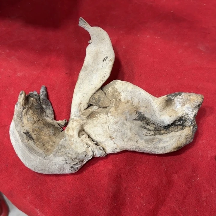 香榧木工艺品精选