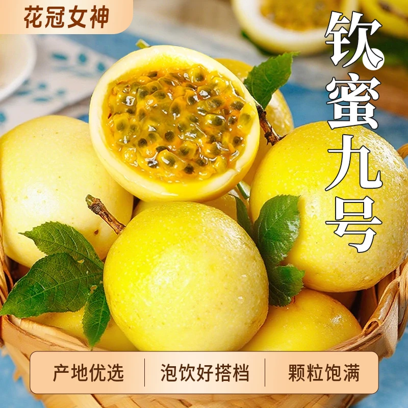 【钦蜜九号】黄金百香果黄金果赠开果器黄金百香果爆甜黄金特大